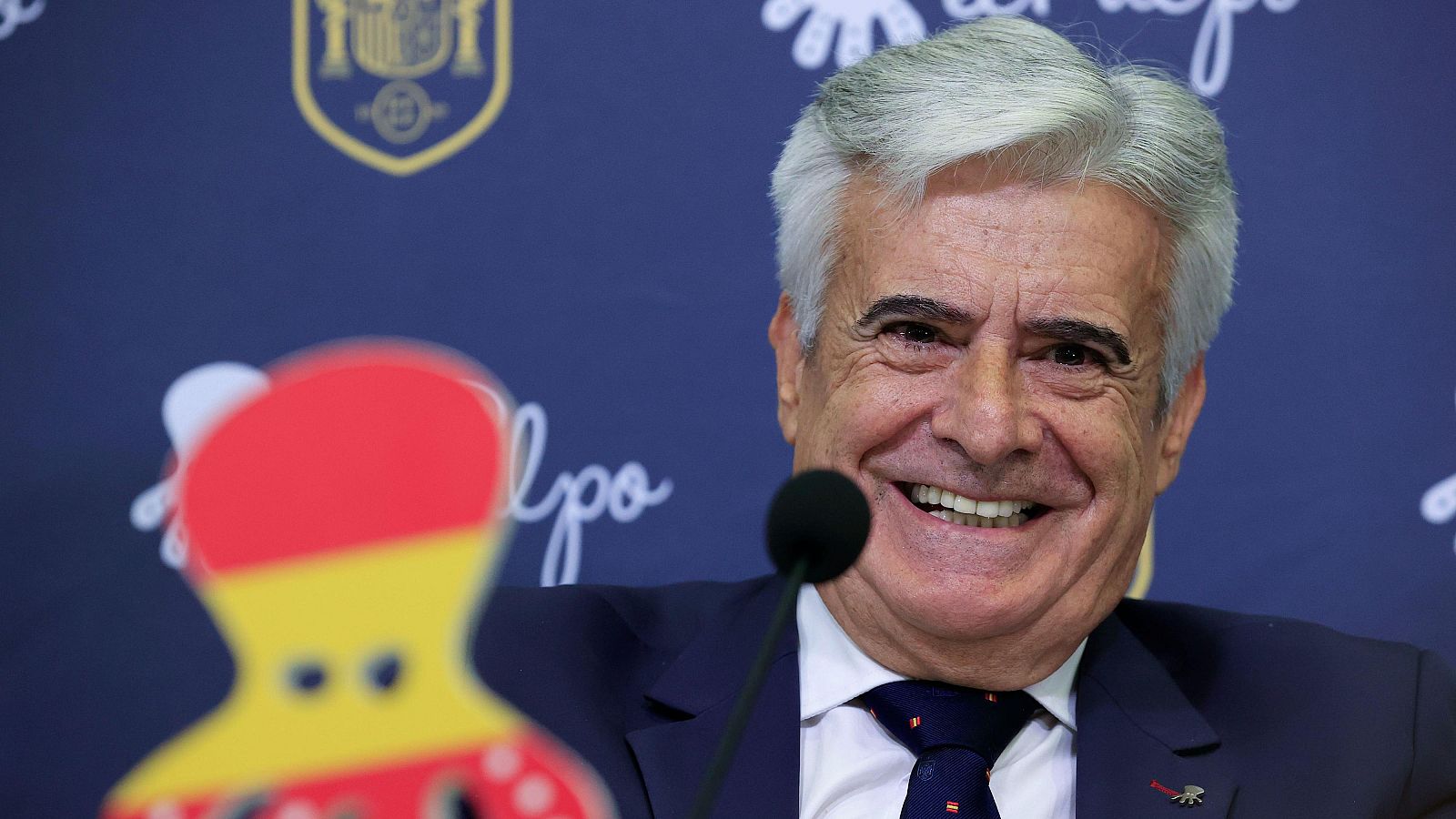 El CSD no suspende a Pedro Rocha