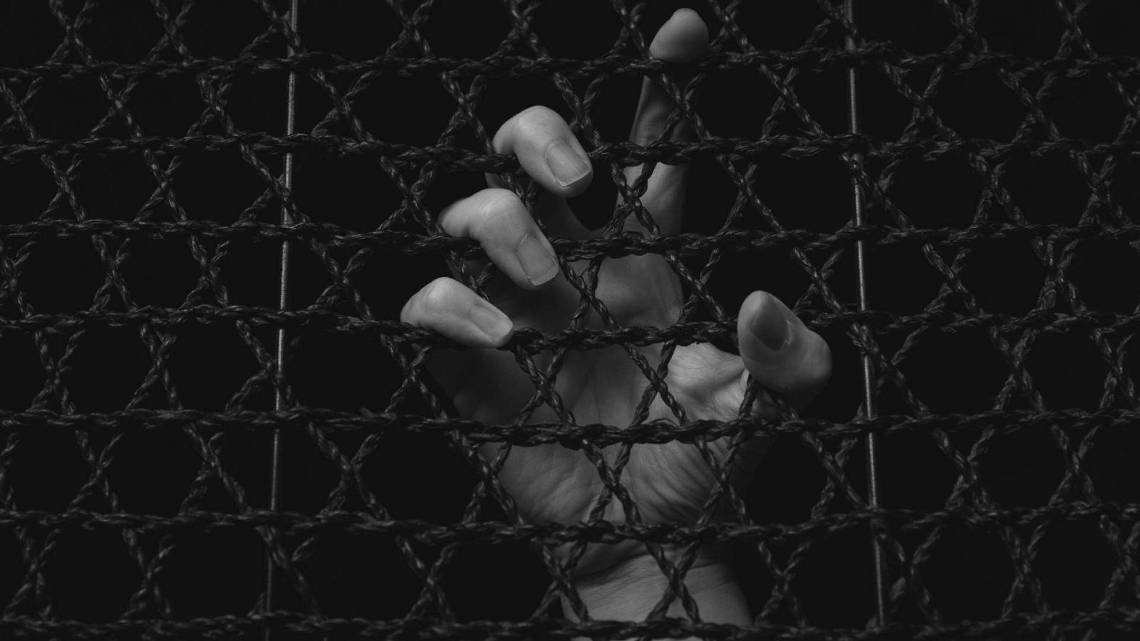 Los paises con más ejecuciones conocidas son China, Irán, Arabia Saudí, Somalia y Estados Unidos