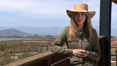 Qui o què amenaça el Delta de l'Ebre?