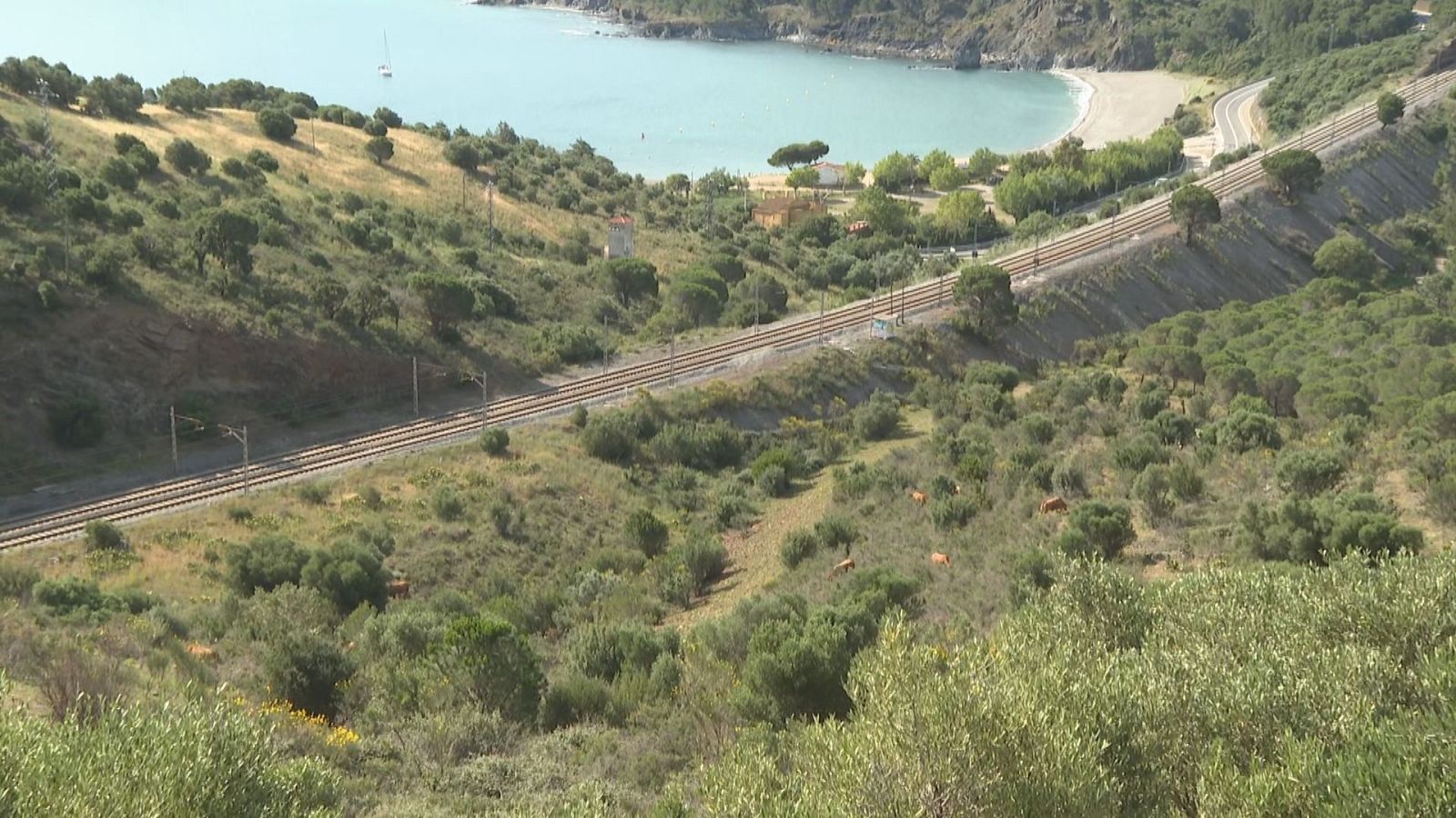 Es porten a terme treballs forestals entre els termes de Colera i Portbou