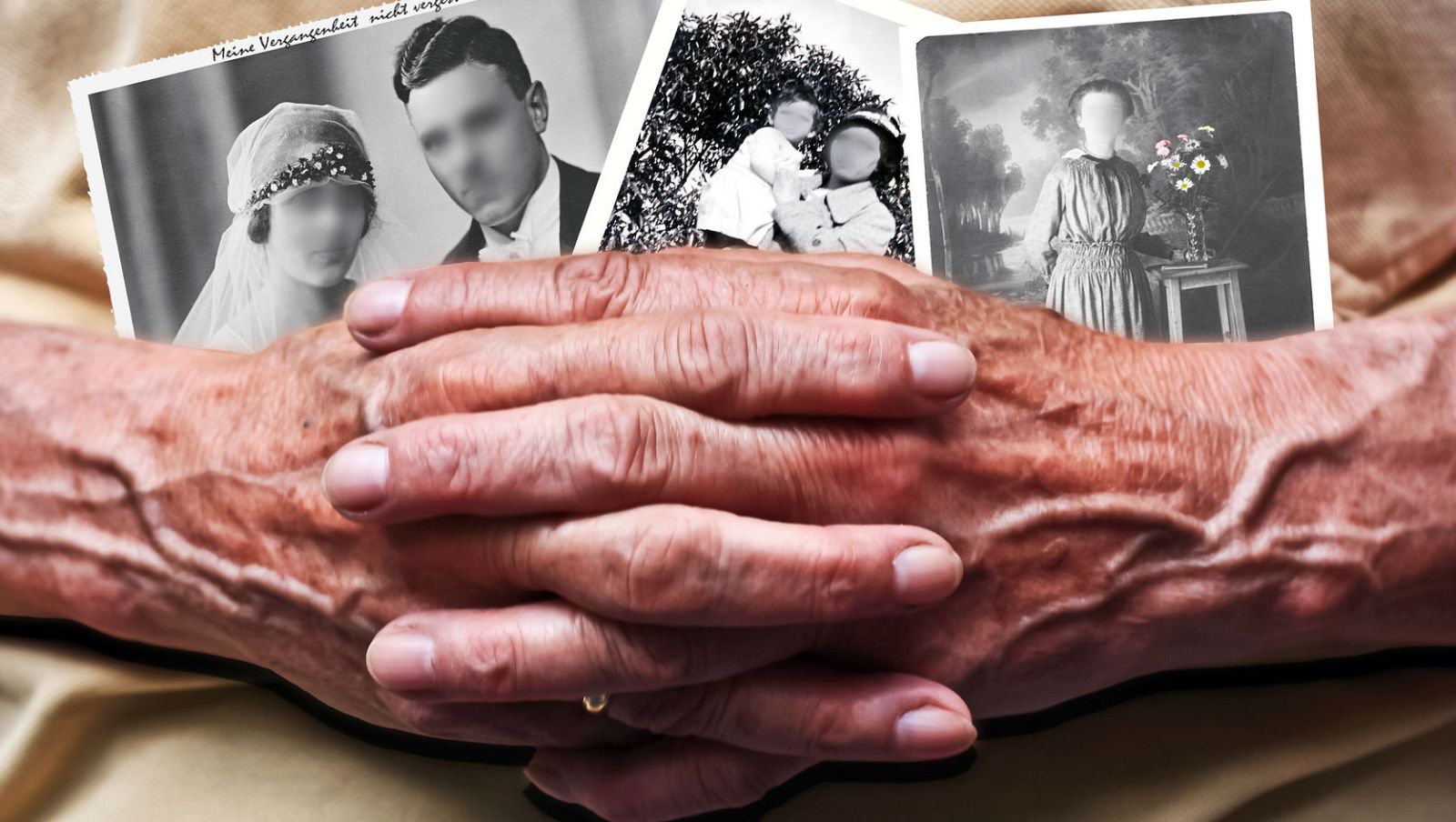 'Memoria de delfín', con el alzhéimer.