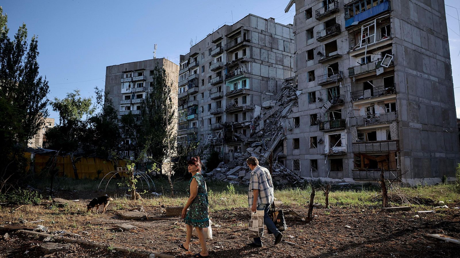 Guerra Ucrania - Rusia