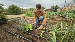 Els 5 errors més comuns que es cometen a l'hort