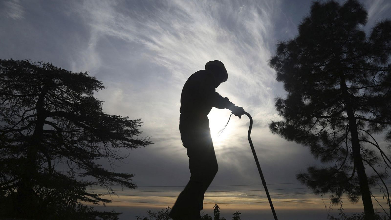 La esperanza de vida alcanzó los 75,3 años para mujeres y 69,8 para hombres, según un estudio