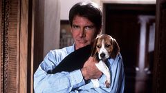 Celebramos el cumpleaños de Harrison Ford con 'A propósito de Henry', que escribió J.J. Abrams con tan solo 23 años