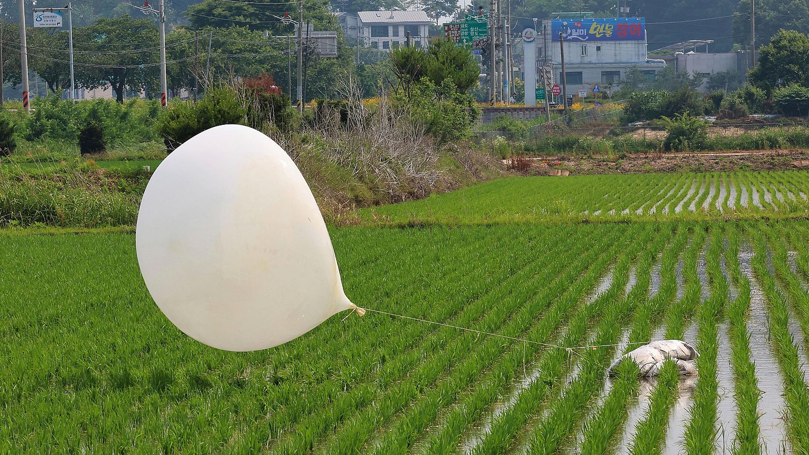 Corea del Norte lanza globos basura a Corea del Sur