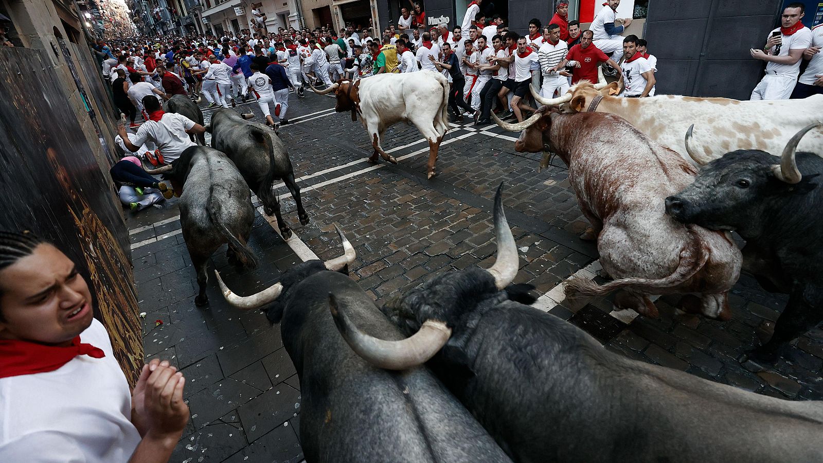 San Fermín 2024: los toros de la ganadería de José Escolar en el segundo encierro de los Sanfermines 2023