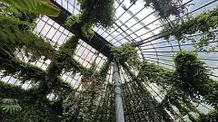 El Real Jardín Botánico y las expediciones botánicas