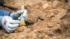 Nuevos hallazgos sobre el 'Homo Antecessor' en Atapuerca: el diente de una mujer y huesos de animales
