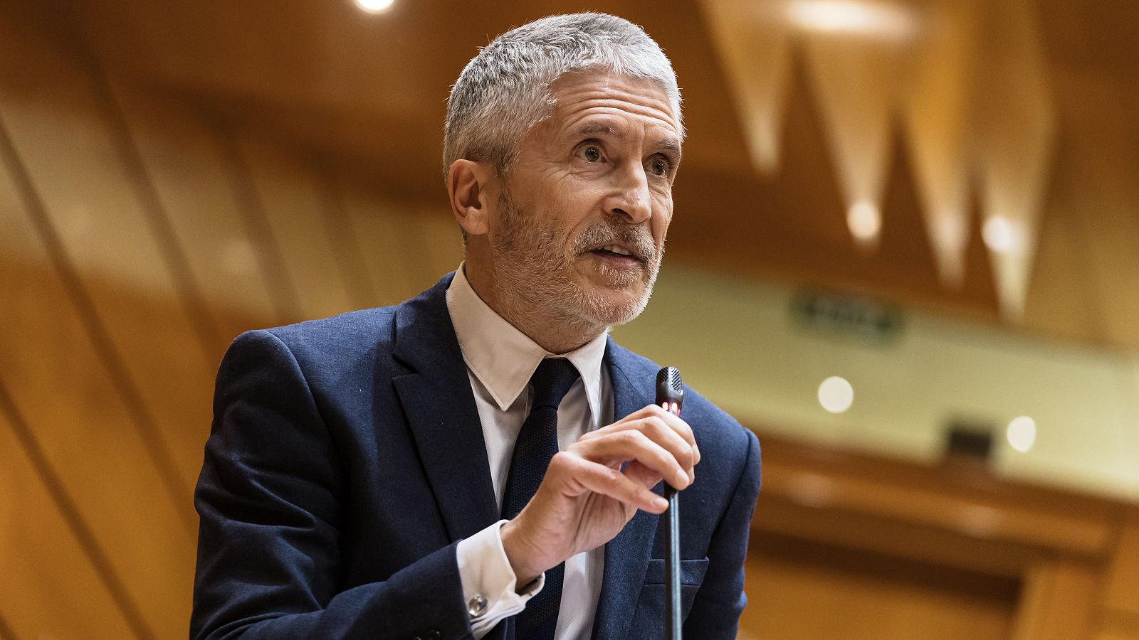 El ministro del Interior, Fernando Grande-Marlaska, durante una sesión plenaria del Senado