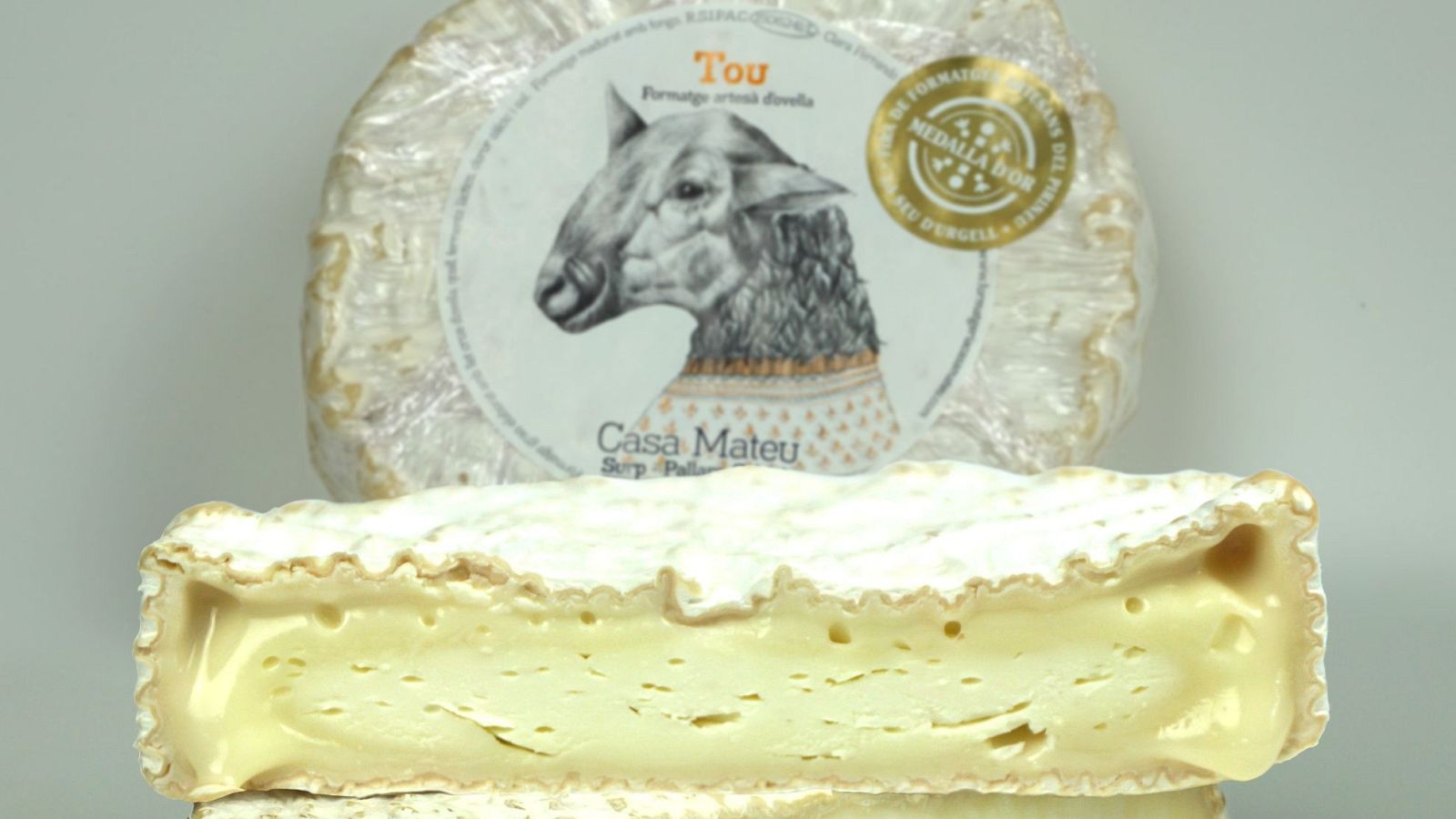 Alerta por salmonella en queso de pasta blanda de la marca Casa Mateu