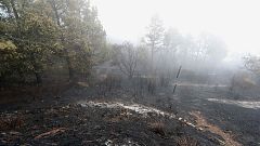 Estabilizado el incendio de Gran Canaria