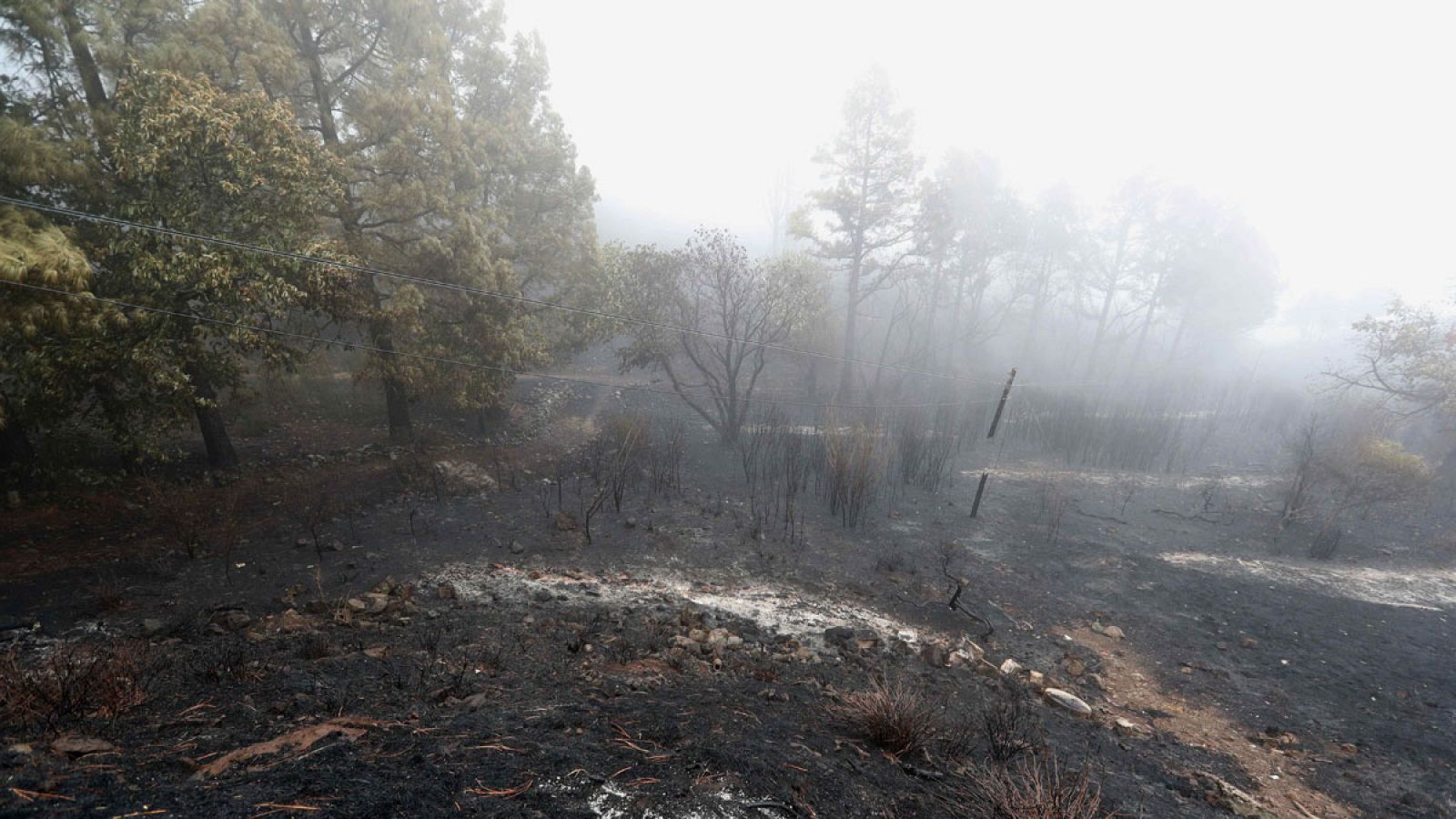 Estabilizado el incendio en la cumbre de Gran Canaria