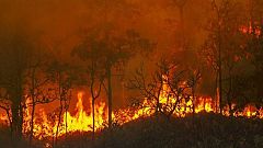 El cambio climático aumentó el riesgo de grandes incendios en 2023, según un estudio