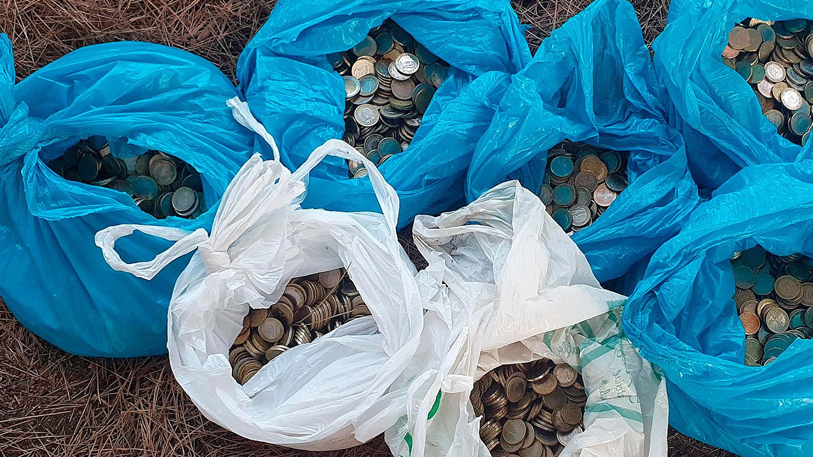 Monedes recuperades pels Mossos i que els lladres amagaven en un cau a un lateral de l'AP-7