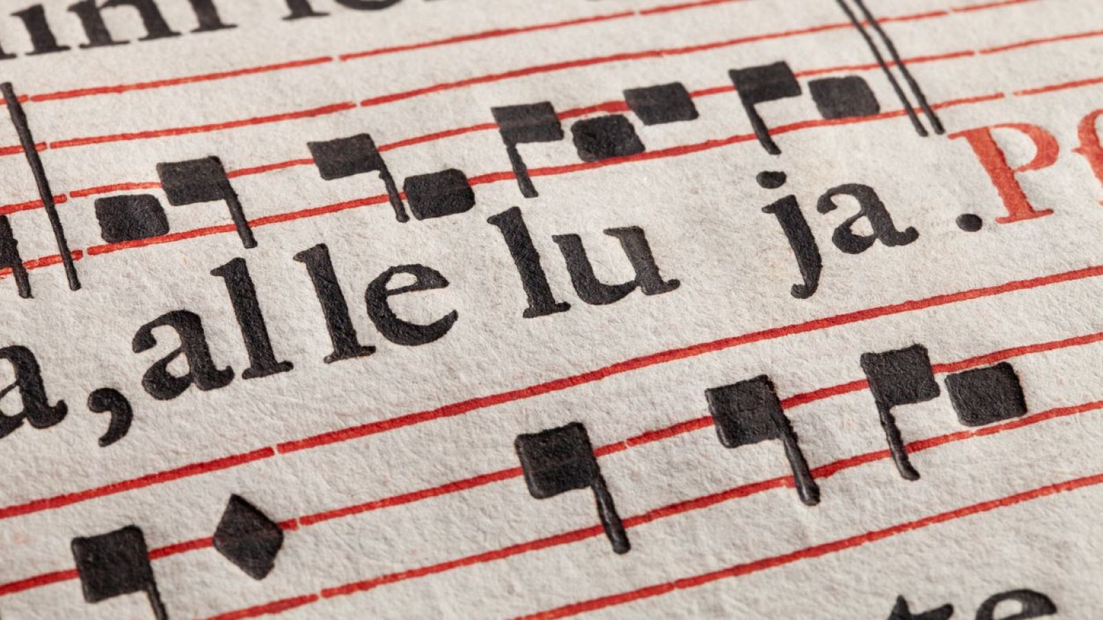 Descubre la programación de Radio Clásica.