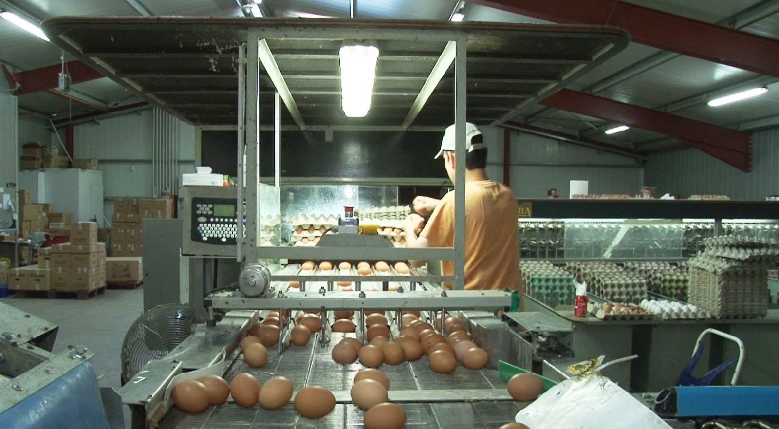 'Comando actualidad' se pregunta por la vigilancia que se hace a los alimentos que ingerimos