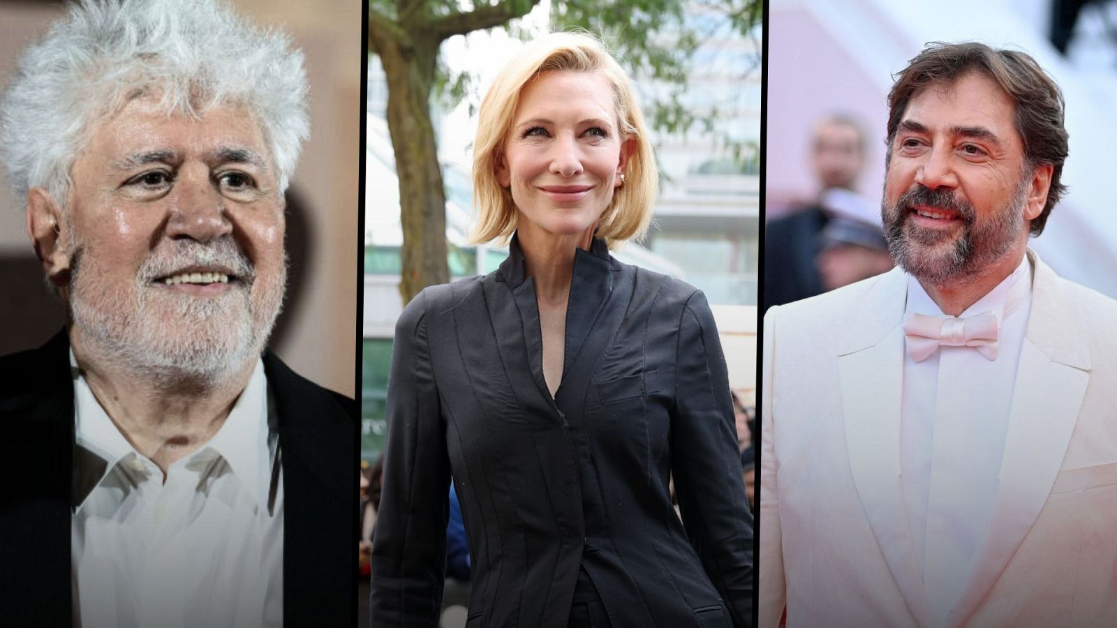 Festival San Sebastián en RTVE Play