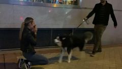 Indemnizada con 600 euros porque su expareja no la dejó ver al perro de ambos