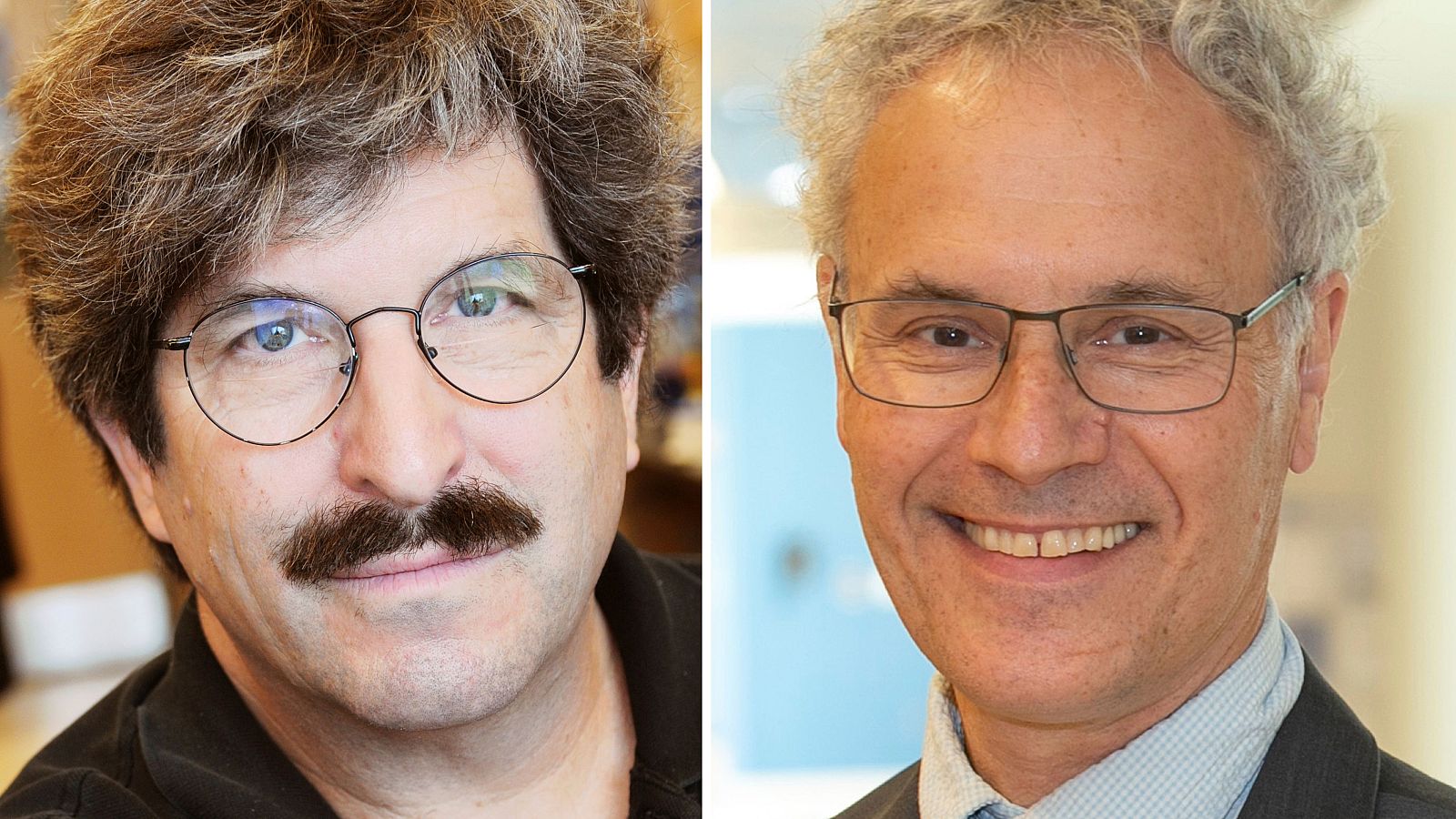 Premio Nobel de Medicina 2024: Gary Ruvkun y Victor Ambros.