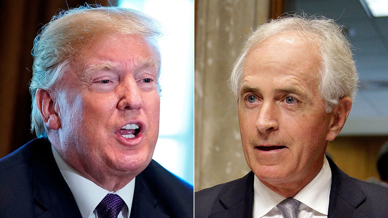 El presidente de Estados Unidos, Donald Trump, y el senador republicano Bob Corker