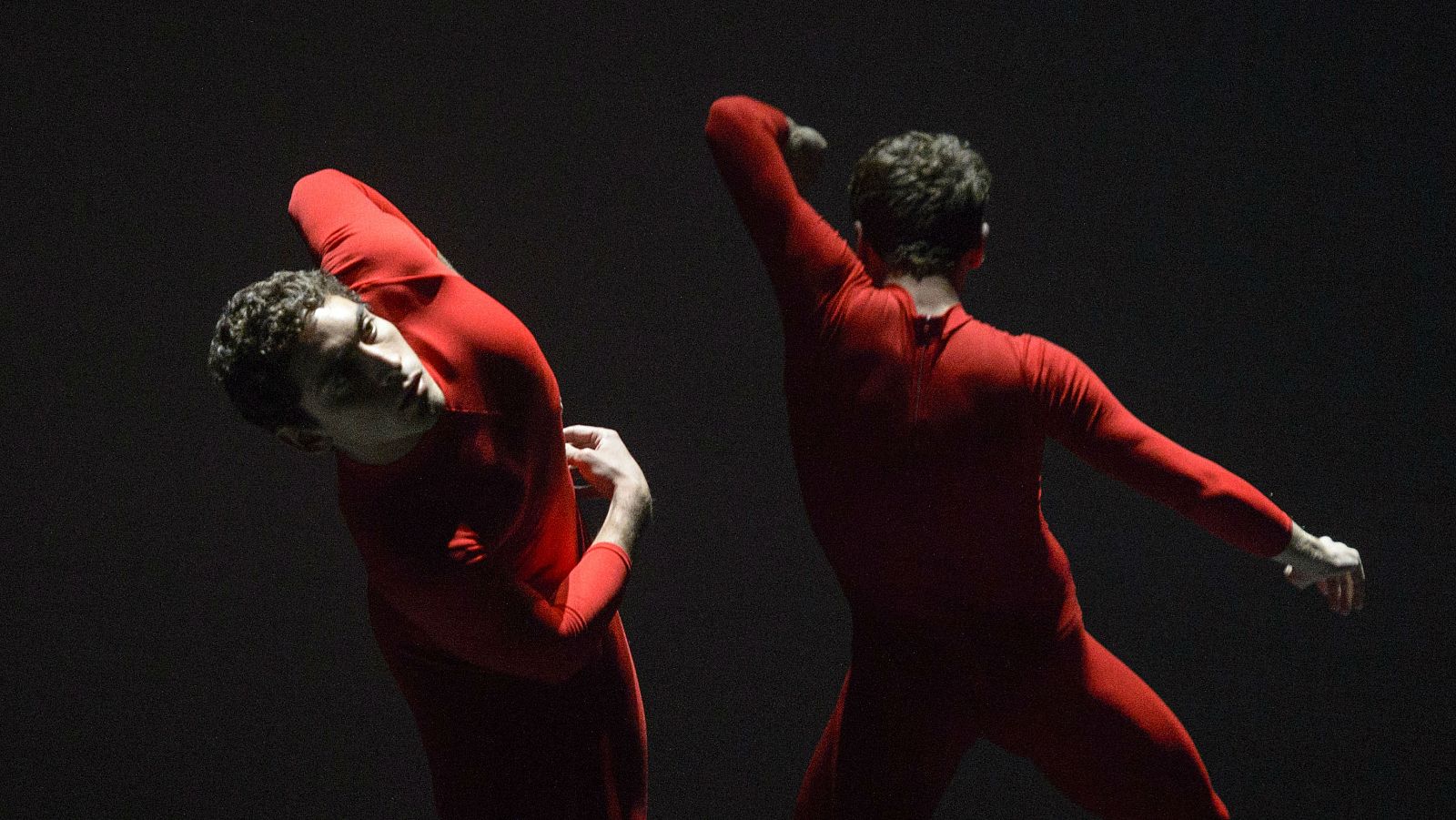 Festival Madrid en Danza 2017