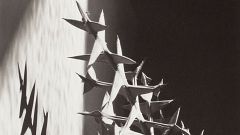 Imogen Cunningham muestra la naturaleza esencial de sus fotos en el Thyssen de Málaga