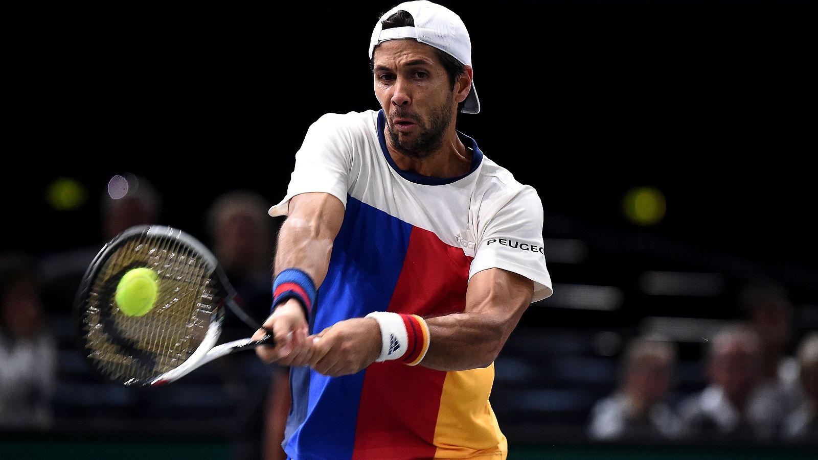 Fernando Verdasco, en su partido contra Sock