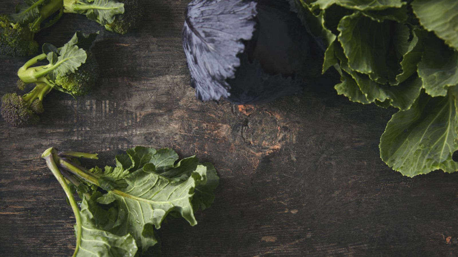 Trucos para cuidar tus coles