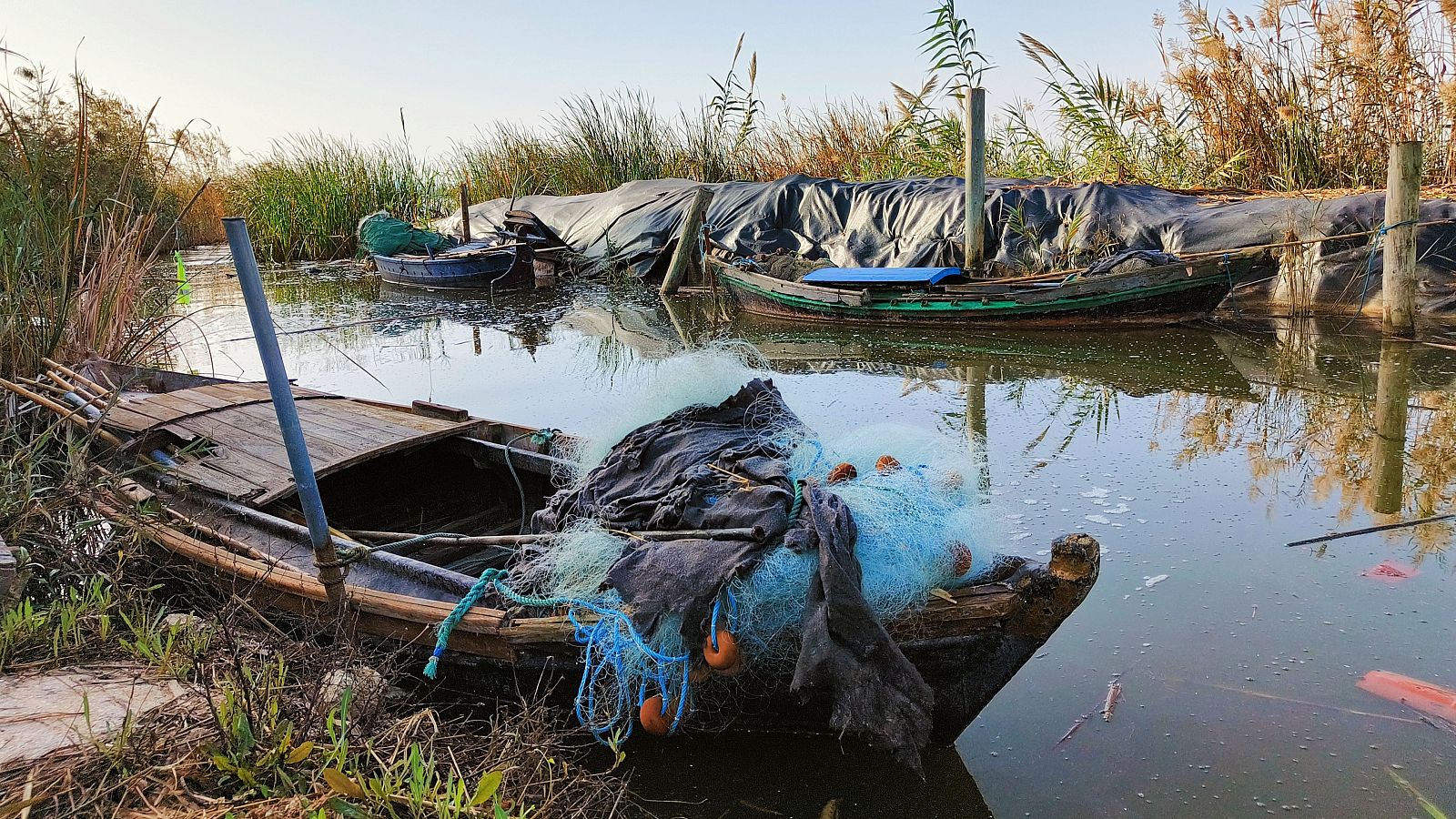 Embarcaciones tradicionales de pesca en la Albufera valenciana.