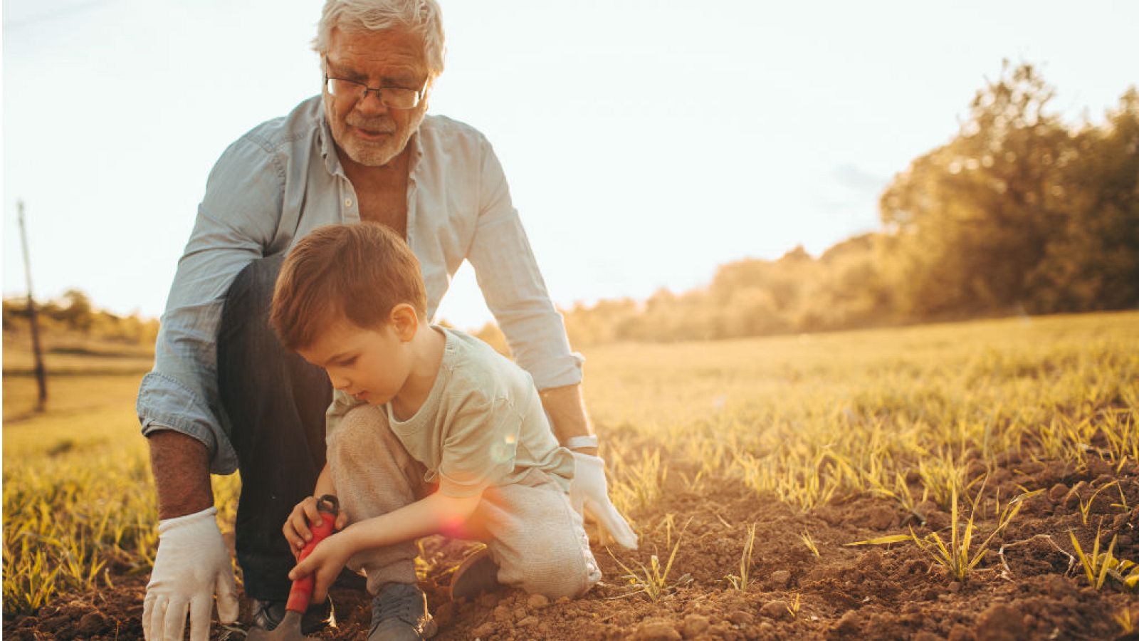 Aquí la tierra - Tareas de mantenimiento de otoño para el huerto