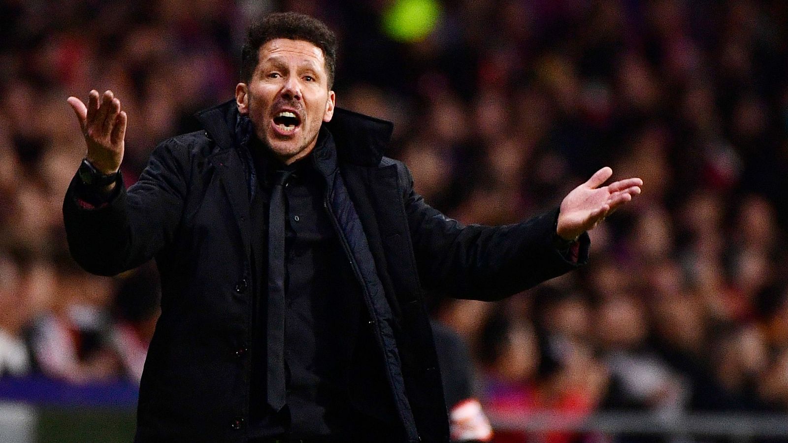 simeone