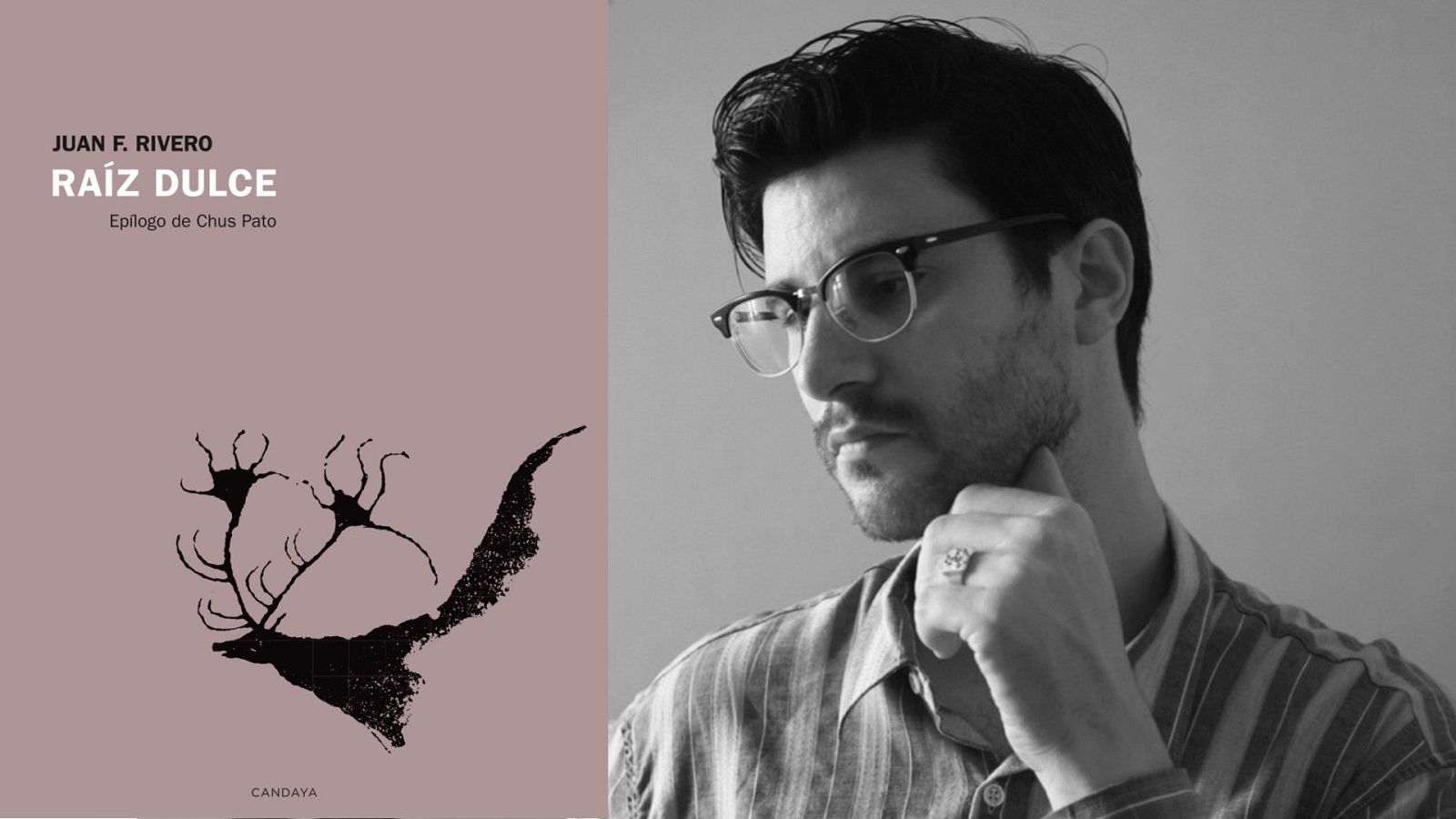 Raíz dulce (Juan F. Rivero, ed. Candaya)