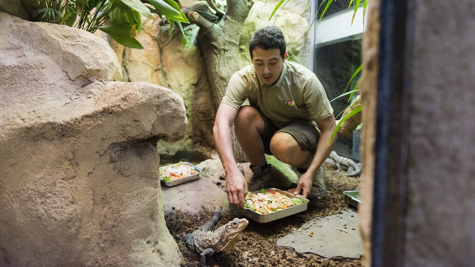 Cinc dies a... El ZOO de Barcelona