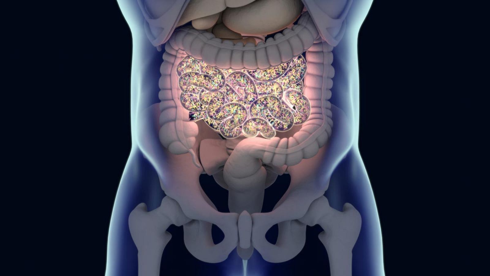 Estudios previos ya habían descubierto que hay flora o microbiota intestinal asociada al cáncer y que influye en su desarrollo y progresión.