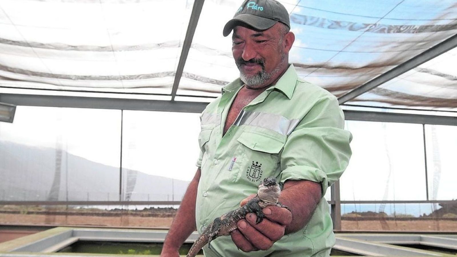 El legado de Juan Pedro Pérez Machín.