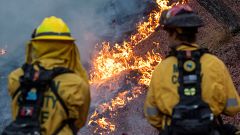 Ascienden a 16 los muertos por los incendios en Los Ángeles, mientras siguen las labores de extinción