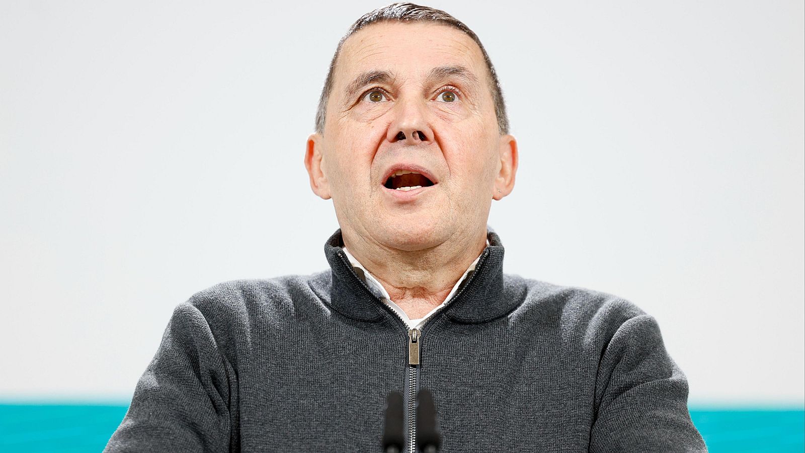 Otegi encabezará una nueva dirección de Bildu