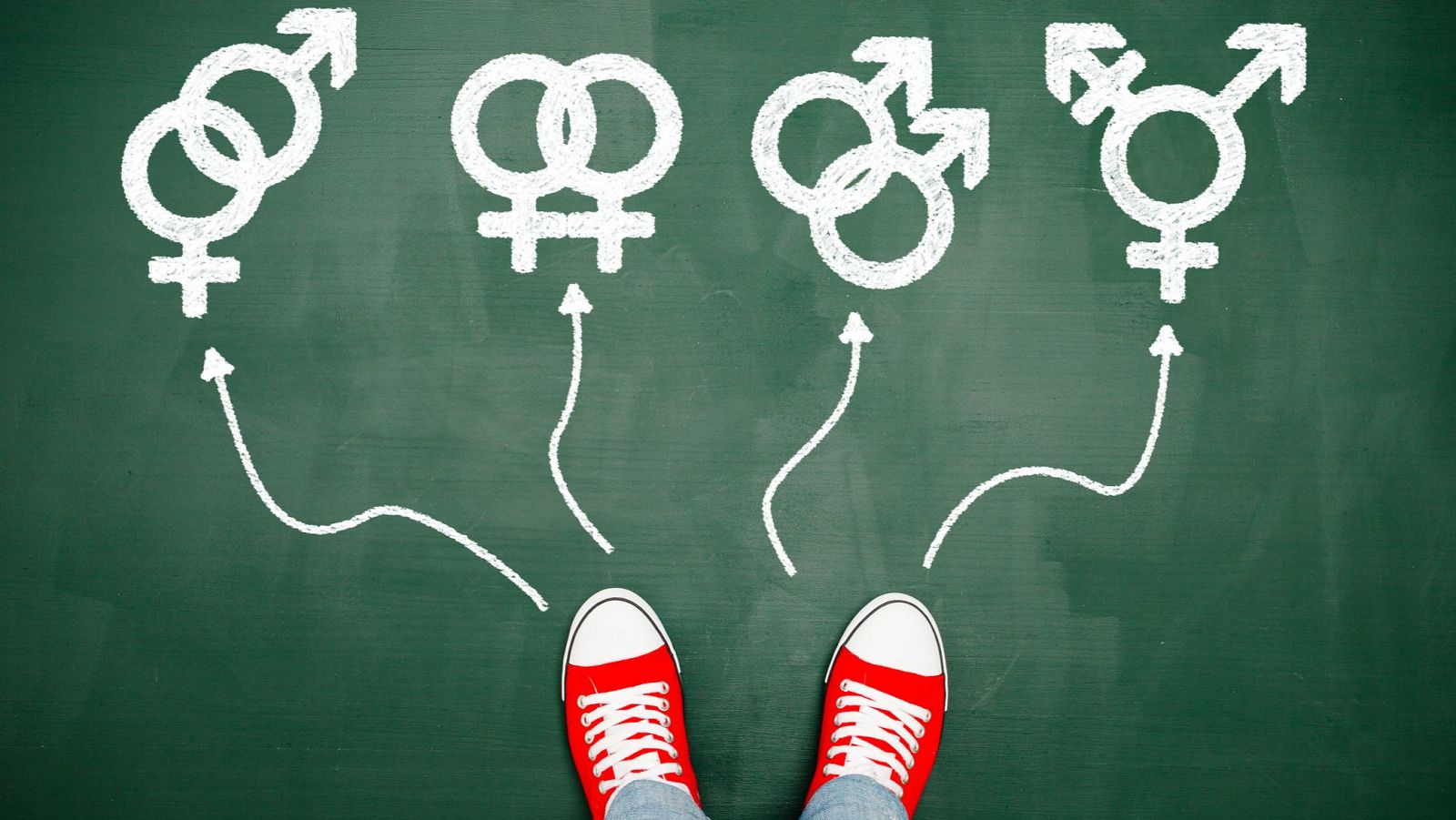 La cirugía de afirmación de género, tema central en 'Memoria de delfín'