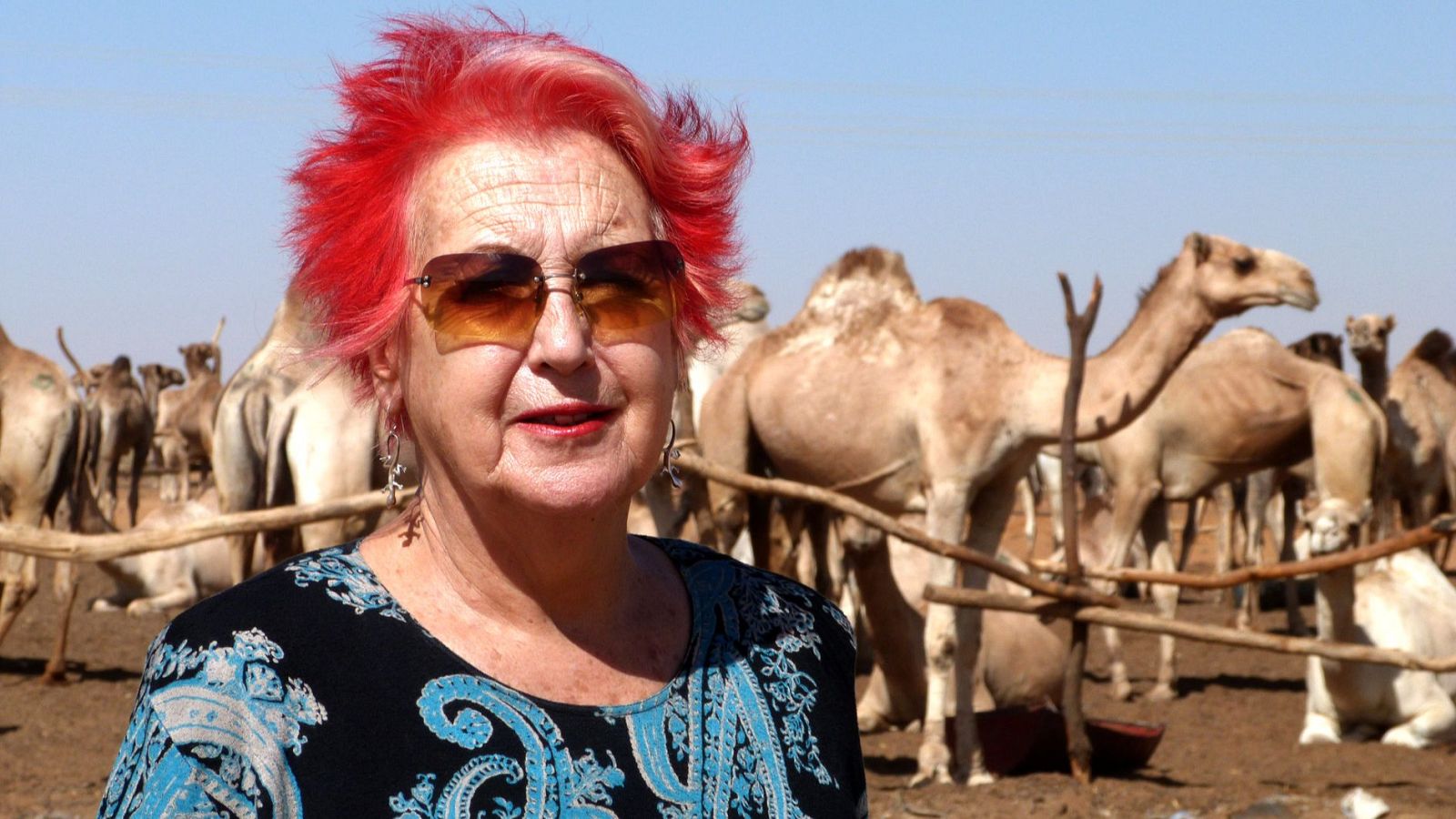 Rosa María Calaf: "El periodista no es el héroe de la crónica"