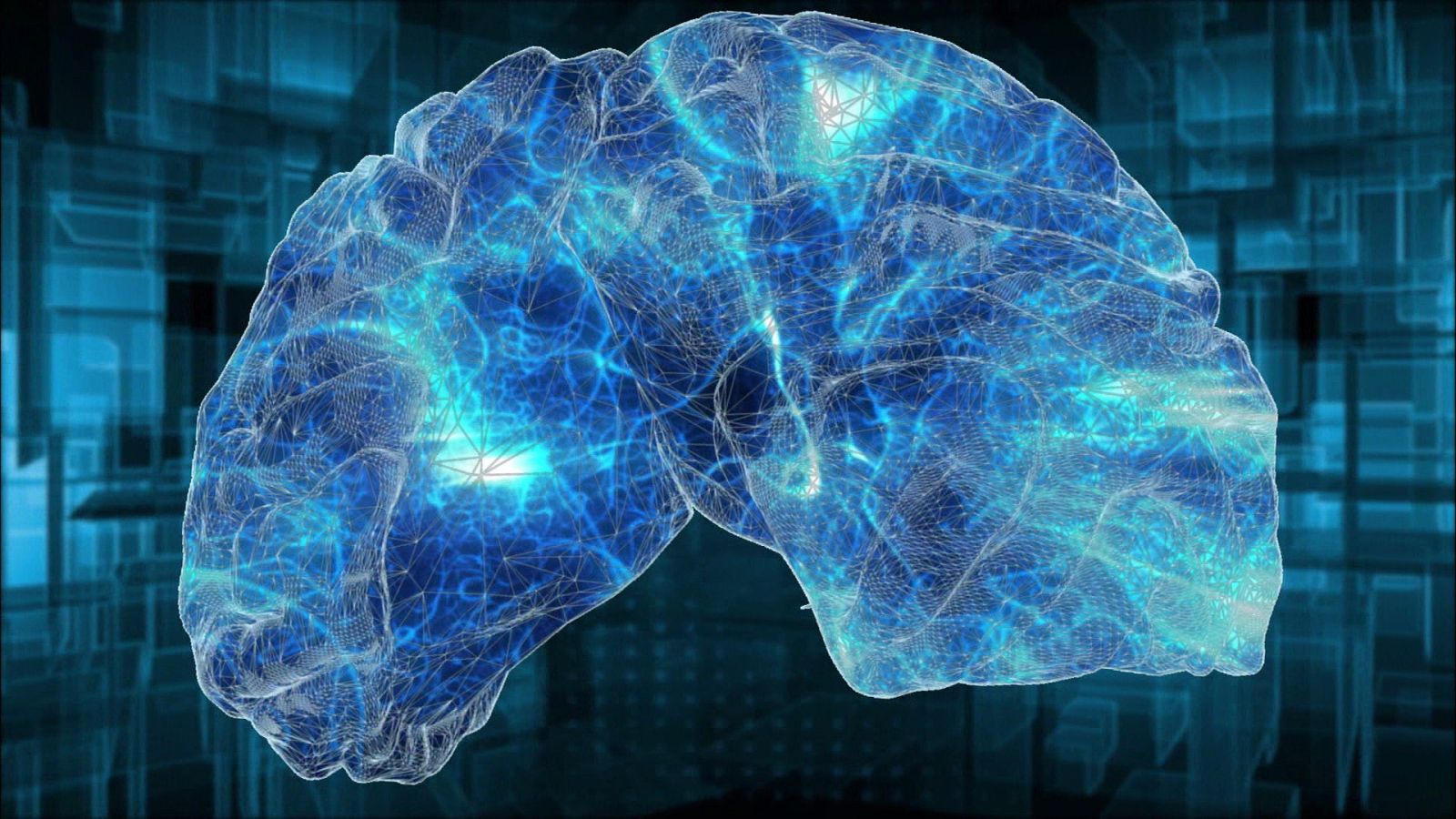 Imagen del cerebro y conexiones neuronales