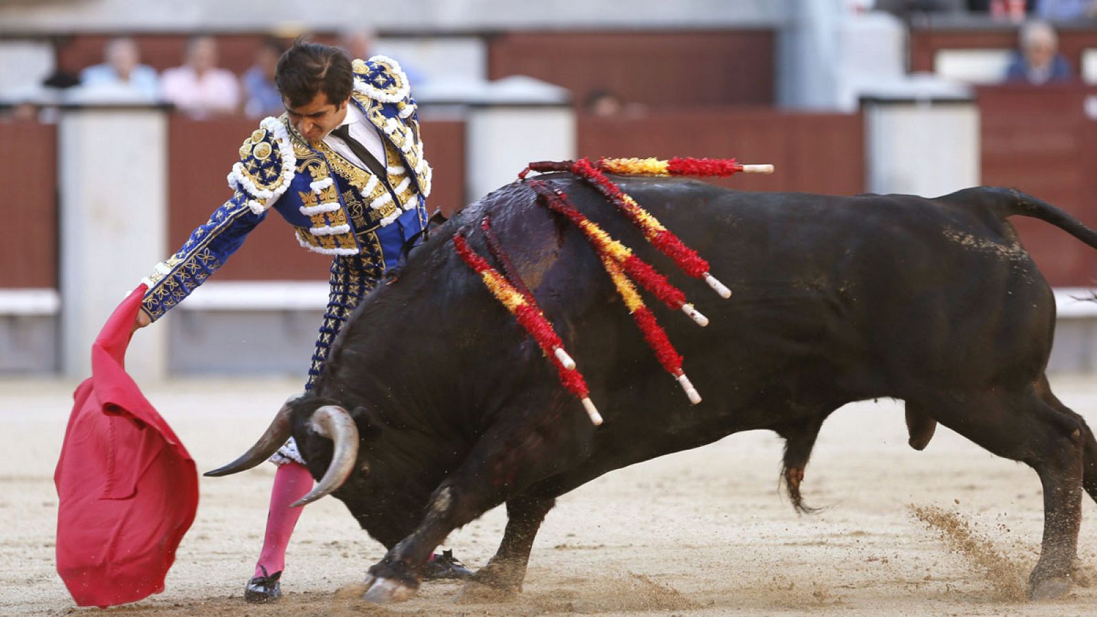La Ley prohíbe maltratar y matar a los toros