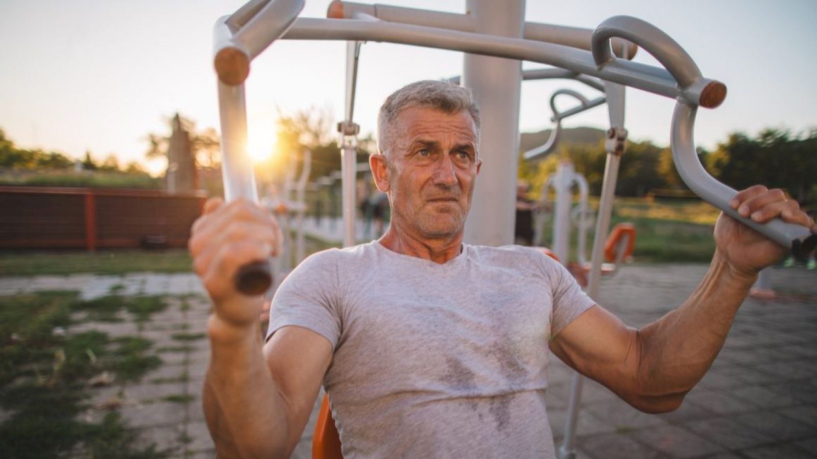 Los ejercicios de fuerza ayudan a fortalecer la musculatura y producir testosterona.