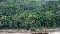 Descubierto un sistema único de riego que permitió la revolución neolítica en la Amazonia