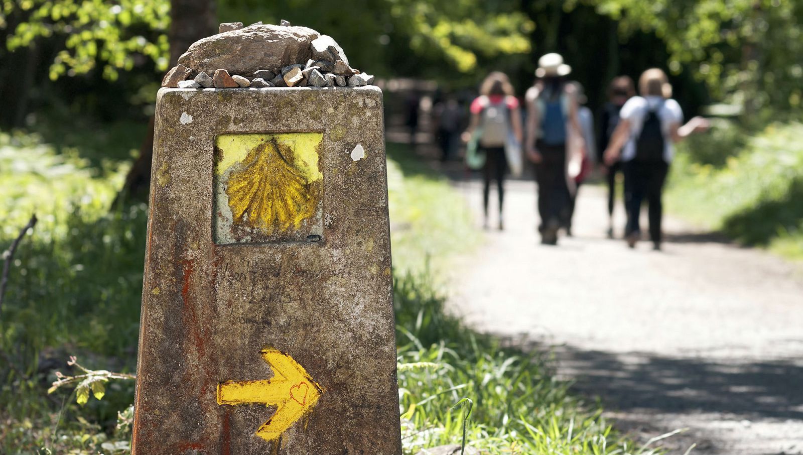 'Memoria de delfín' con el Camino de Santiago