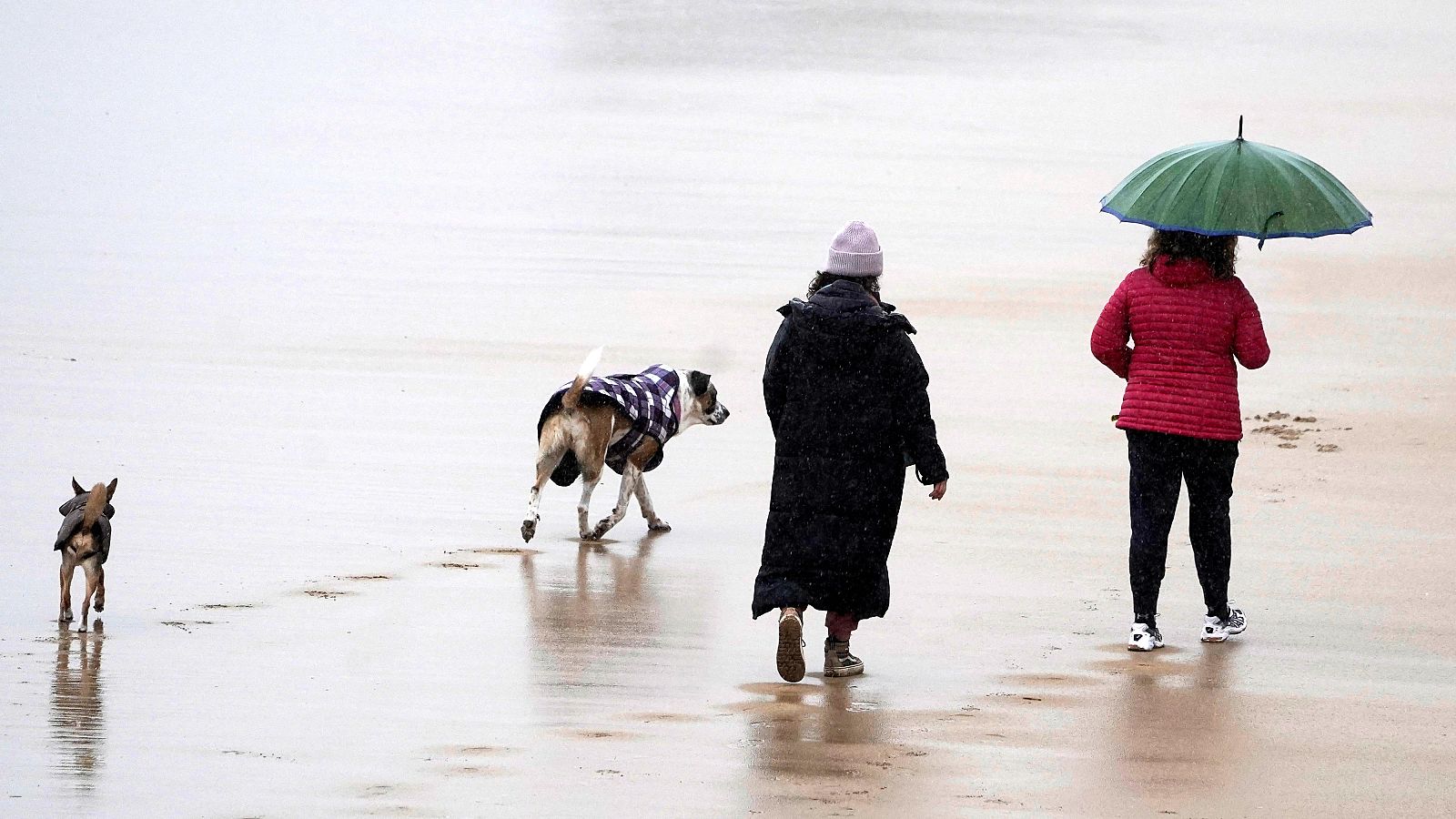 El tiempo hoy 10 de febrero en España: un frente atlántico trae cielos nubosos y lluvias en la mitad norte peninsular