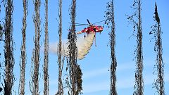 Los incendios en California dejan un muerto, 500 casas destruidas y miles de evacuados