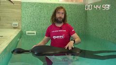 L'apnea estàtica com a mètode de relaxació
