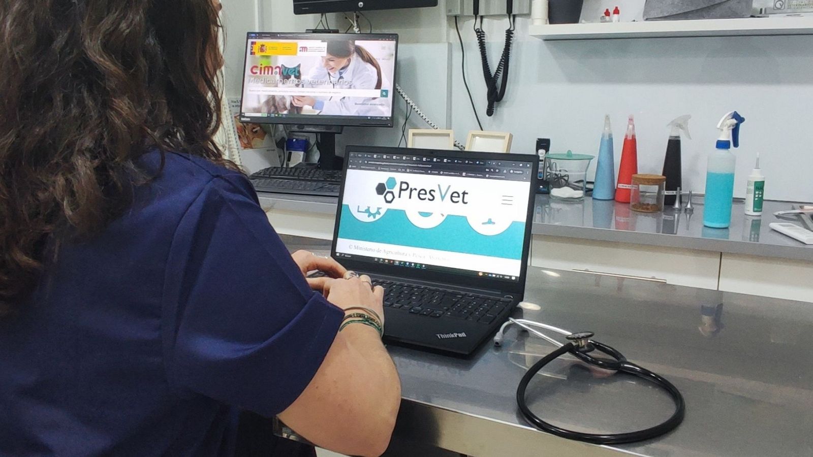 Claves de la nueva normativa de los veterinarios