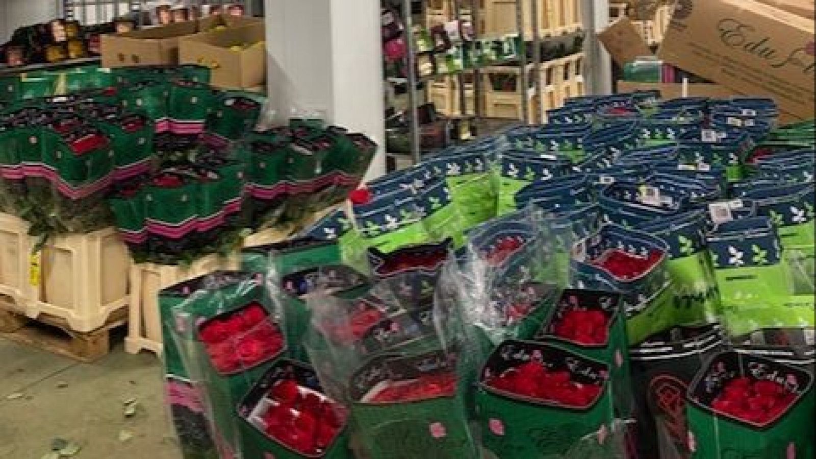 Interior de la nave industrial de Coflores